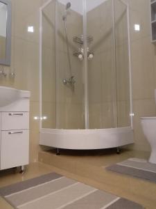 a bathroom with a shower with a sink and a toilet at Station Hostel in Atyrau