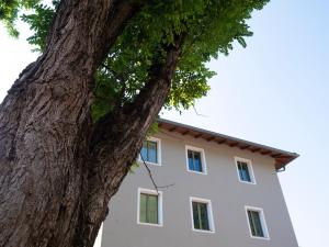 un edificio bianco accanto a un grande albero di Innesti Rooms&Apartments a Pergine Valsugana