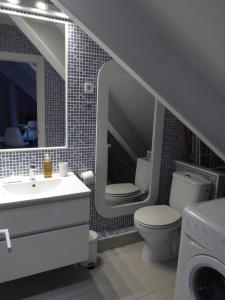 a bathroom with a toilet and a sink and a washer at Apartamento en el Mercado de San Miguel in Madrid
