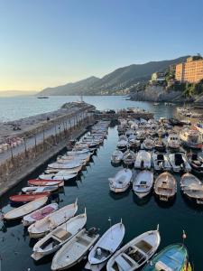 Príroda v okolí apartmánu