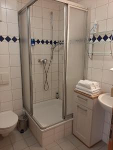 a bathroom with a shower with a toilet and a sink at Altes Bootshaus in Torgau