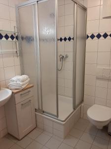 a bathroom with a shower with a toilet and a sink at Altes Bootshaus in Torgau