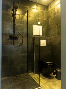 a bathroom with a glass shower with a toilet at Le chalet montagne insolite avec spa et écran cinéma ! in Évreux