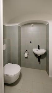a bathroom with a toilet and a sink at HERZIGE WOHNUNG IN ALTEM GEMÄUER in Linz +15 photos