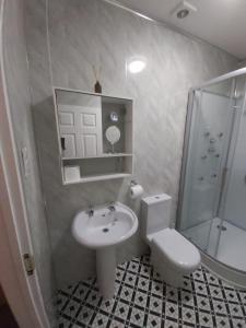 een badkamer met een wastafel, een toilet en een douche bij Sergeants Accommodation in Nelson