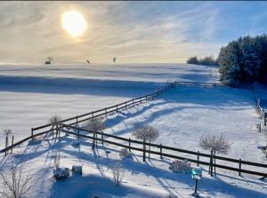 ヴィンターベルクにあるLandhotel Flora & Faunaの太陽を背景にした雪に覆われた野原の柵 +104枚の写真