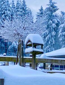 a snow covered forest with trees and a fence at Landhotel Flora & Fauna in Winterberg