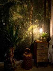 Vonkajšia záhrada v ubytovaní L'Evasion romantique en Amazonie, SPA, Écran cinéma, day use, Lit baldaquin