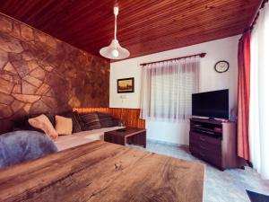 uma sala de estar com um sofá e uma televisão em Apartment for 5 ppl at Lake Balaton em Balatonfenyves