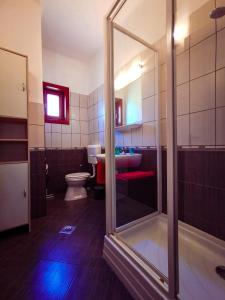 e bagno con doccia, servizi igienici e lavandino. di Apartment for 5 ppl at Lake Balaton a Balatonfenyves