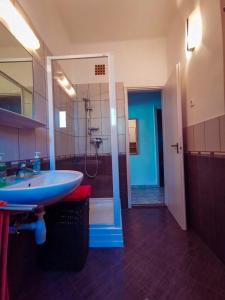uma casa de banho com um lavatório, um chuveiro e um espelho. em Apartment for 5 ppl at Lake Balaton em Balatonfenyves