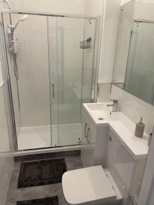 a bathroom with a shower and a toilet and a sink at Studio Apartment Harlow in Potter Street