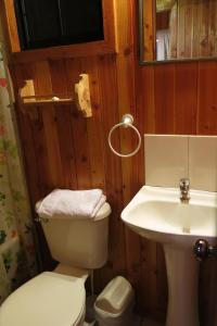 a bathroom with a toilet and a sink at Holiday Homes Cabañas El Vergel in Osorno