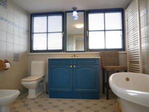 a bathroom with a blue cabinet and a toilet and a sink at Buitenplaats 5-p in Callantsoog +73 photos