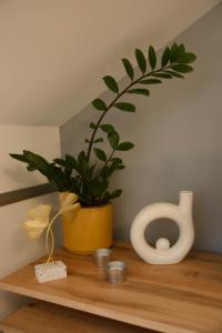 a plant in a vase sitting on a wooden shelf at Eliza 1 Birdland Golf Apartman in Bük