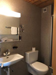 a bathroom with a white toilet and a sink at Historisches Hotel Bären in Kiental