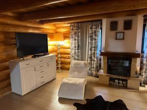 a living room with a television and a fireplace at Wolf's House in Gura Rîului