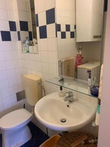 a bathroom with a sink and a toilet at Kleine Wohnung im Zentrum Graz in Graz