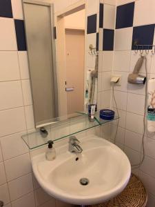 a bathroom sink with a glass shelf above it at Kleine Wohnung im Zentrum Graz in Graz