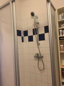 a shower with a shower head in a bathroom at Kleine Wohnung im Zentrum Graz in Graz