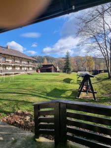 un tavolo da picnic in un campo vicino a un edificio di Pensiunea Irina a Vama Altre 17 foto