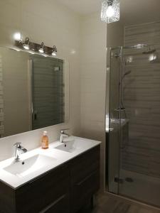 a bathroom with a sink and a shower with a mirror at Appartement T4 cosy et familial en bord de pistes in Puy-Saint-Pierre