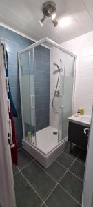 ein Bad mit einer Dusche und einem Waschbecken in der Unterkunft Chez Erwan & Elizabeth in Rennes
