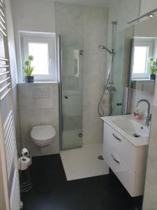 a bathroom with a shower and a toilet and a sink at Haus KanaleGrande in Haltern