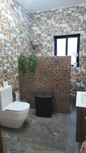 a bathroom with a toilet and a brick wall at Lotus Apartment in Tad-Duluri