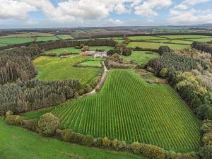 トゥルーロにあるTregoninny Vineyard and Woodland Farmhouseの畑の農家風景