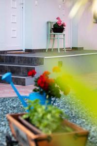 Fotografie z fotogalerie ubytování Mona Apartman v destinaci Sárvár