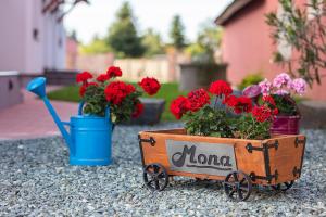Zahrada ubytování Mona Apartman