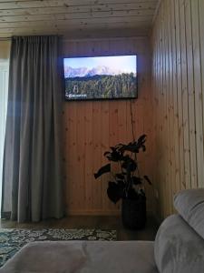 a bedroom with a television on a wooden wall at Svečių namai Banga in Paplatelė