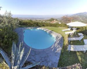 una piscina en un patio con sillas y sombrilla en Villa La Piana, en Mommio