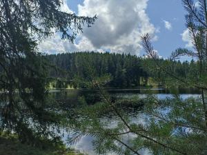 a view of a lake with trees in the background at Feel like home in Horní Slavkov