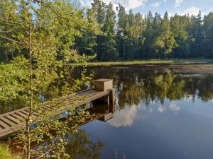 a dock in the middle of a lake with trees at Feel like home in Horní Slavkov
