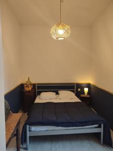 sypialnia z łóżkiem i żyrandolem w obiekcie Grand duplex, 2 chambres, cœur historique Cahors w mieście Cahors +15 zdjęć
