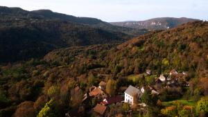 Příroda nedaleko apartmánu + 6 fotografií