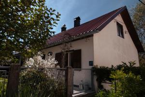Vonkajšia záhrada v ubytovaní Apartment "Johana"