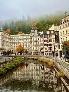 a bridge over a river in a city with buildings at Zlatý Sloup in Karlovy Vary