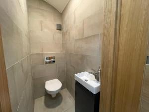 a small bathroom with a toilet and a sink at Modern guest house in city center I Room 1 in Vilnius