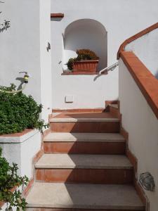 una scala con una pianta in vaso su un muro di Cataldo Guest House a Capri