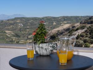 Krouson Mansion في Krousón: كأسين من عصير البرتقال على طاولة مع نبات