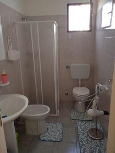een badkamer met een douche, een toilet en een wastafel bij E case tu Bertu in Marina di Mancaversa