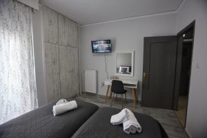 Televízia a/alebo spoločenská miestnosť v ubytovaní C.L.A. 2 City Lux Apartment Alaxandroupoli