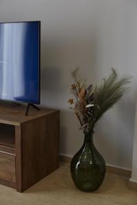 Televízia a/alebo spoločenská miestnosť v ubytovaní C.L.A. 2 City Lux Apartment Alaxandroupoli