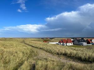 ein Feld mit hoher Wiese mit Häusern in der Ferne in der Unterkunft Hyggeligt byhus in Harboør