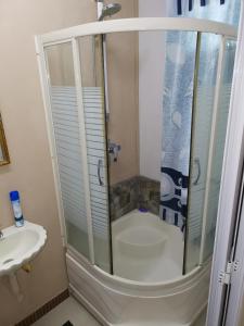 a bathroom with a shower and a sink at Fina Villa Apartments - Mont choisy in Mont Choisy