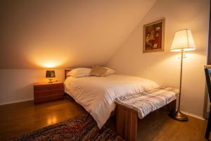 a bedroom with a bed with a lamp and a rug at Gemütliches Apartment im wunderschönen Kallmünz in Kallmünz