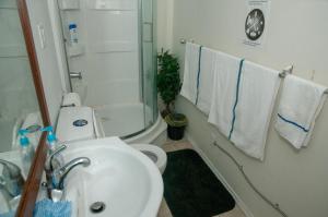a bathroom with a sink and a toilet and a shower at Guest Suite Private Retreat- Honeymoon Suite- J-1 in Abbotsford